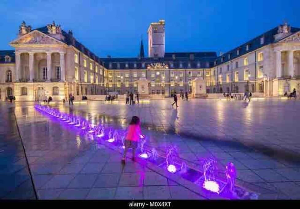 Cosy Chouette Apartment Dijon Exterior photo